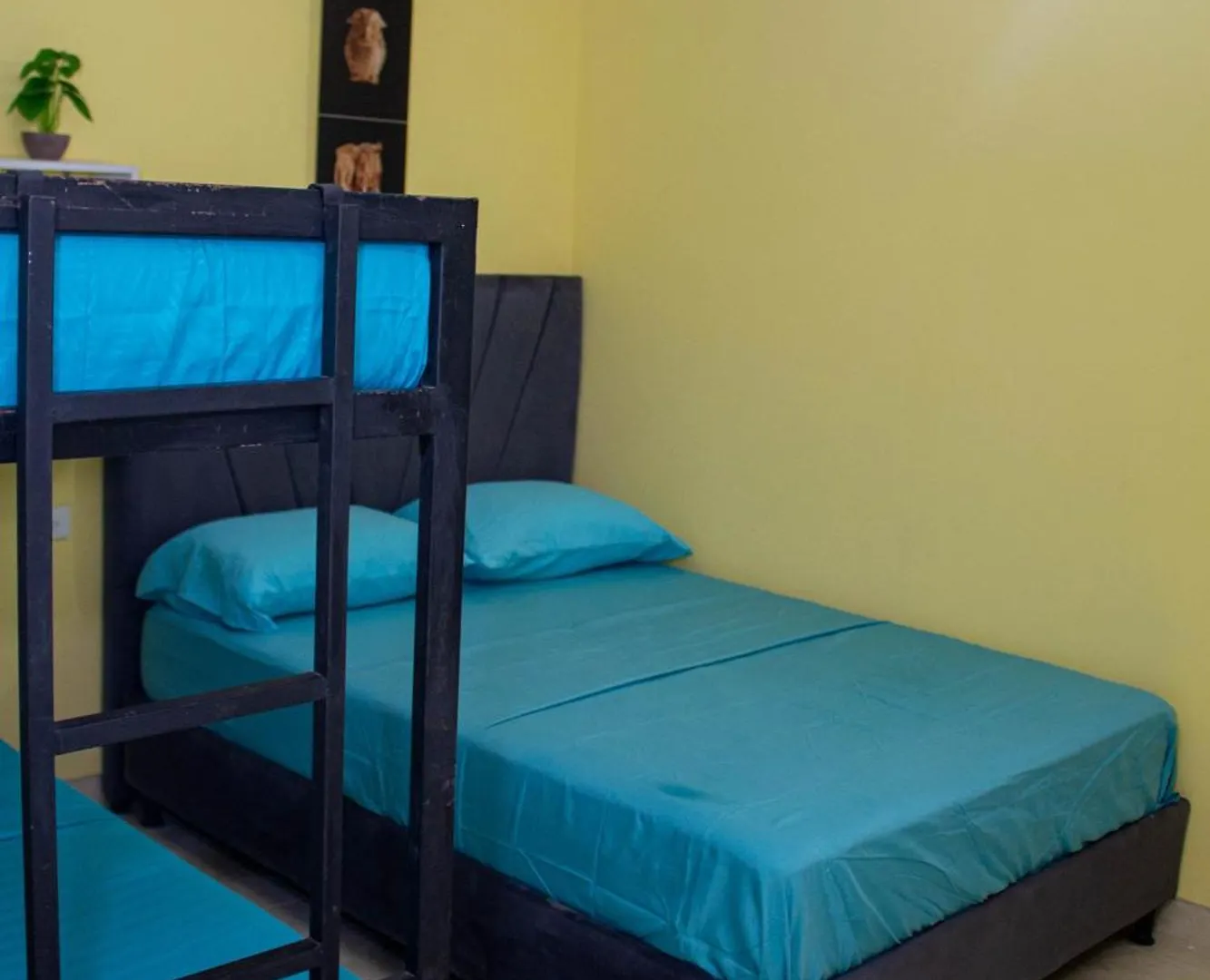 فندق مبيت وإفطار سانتا مارتا Comfort House