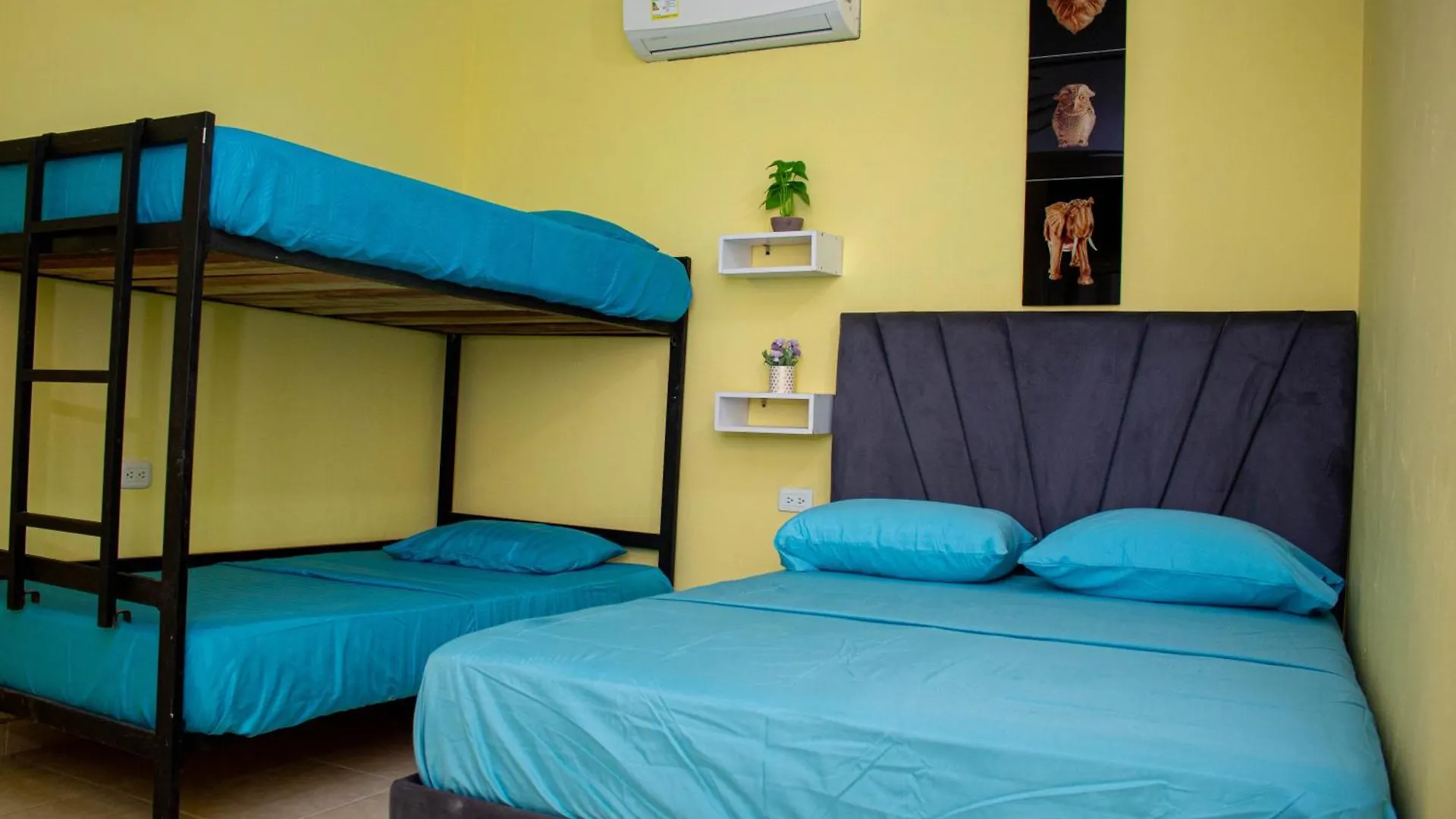 سانتا مارتا Comfort House 0*, سانتا مارتا كولومبيا