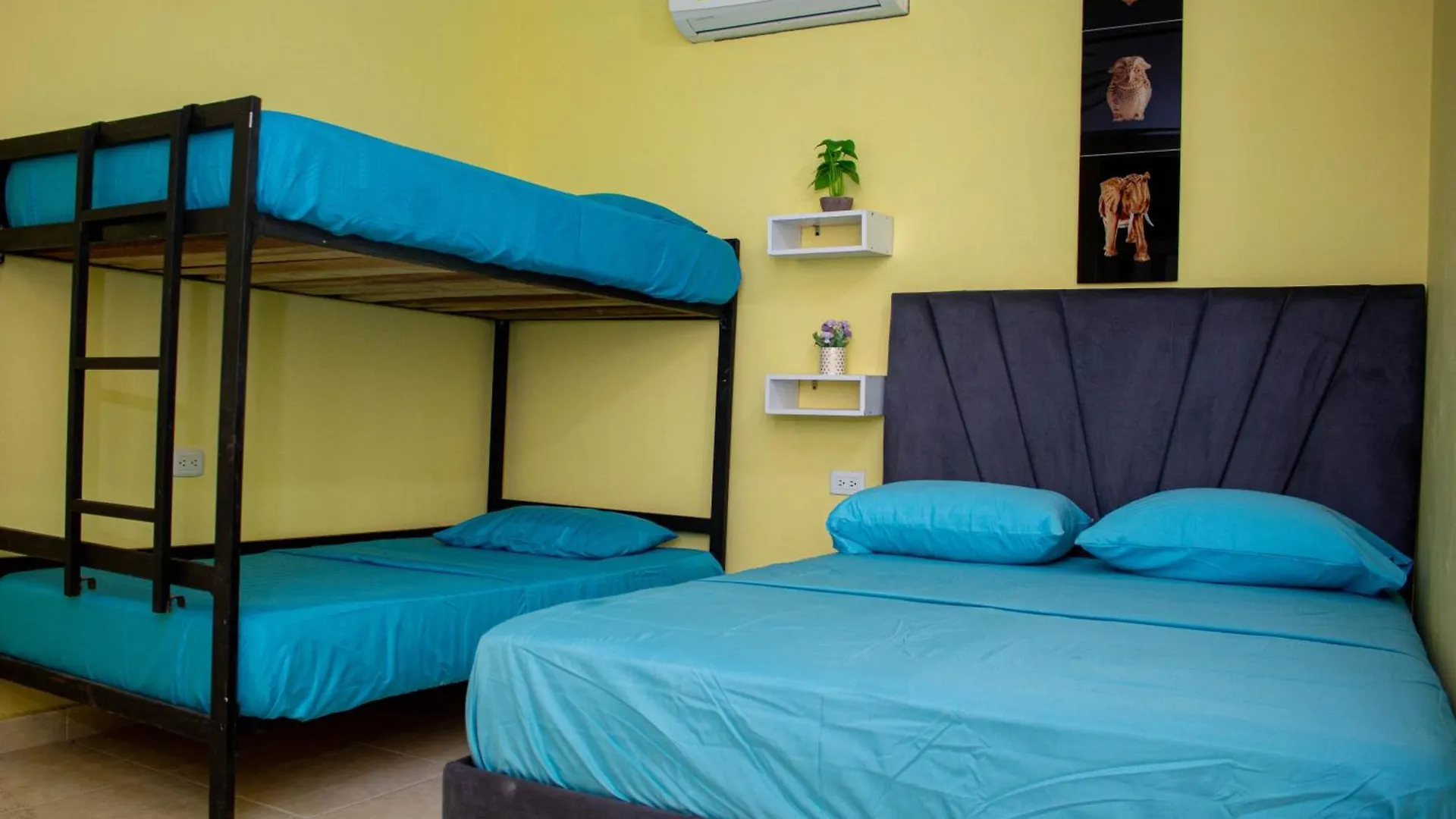 Bed & Breakfast Comfort House Santa Marta